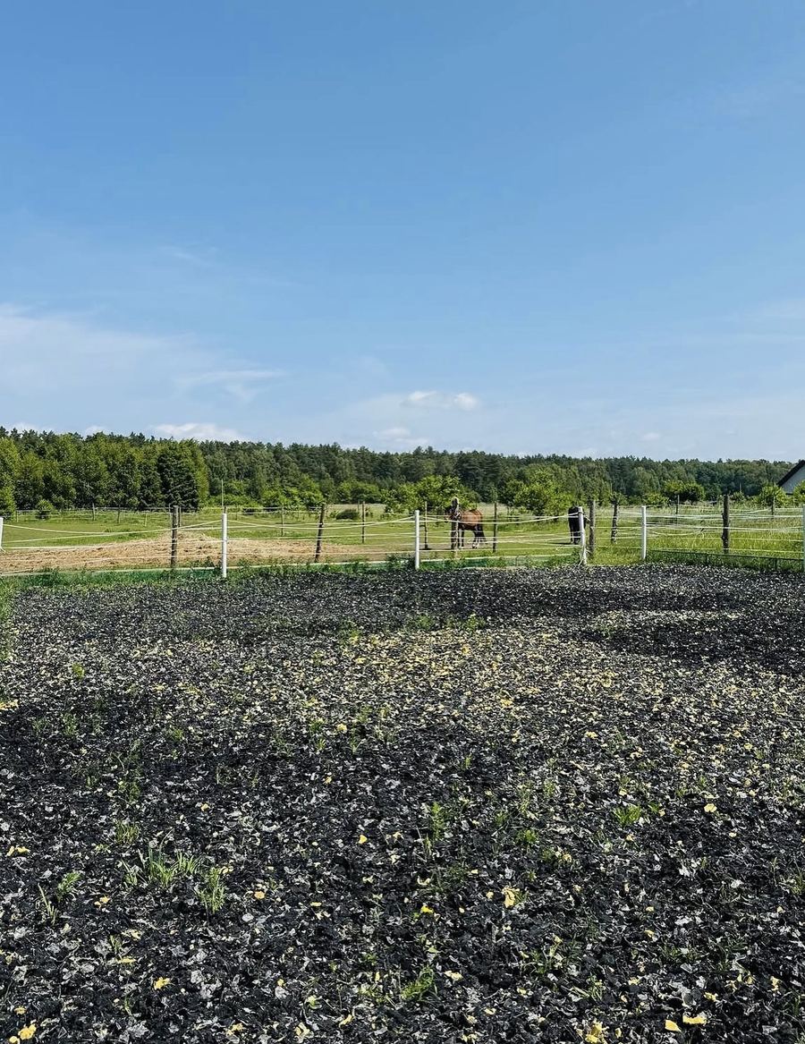 Miękkie podłoże placu całorocznego, w tle konie na padoku
